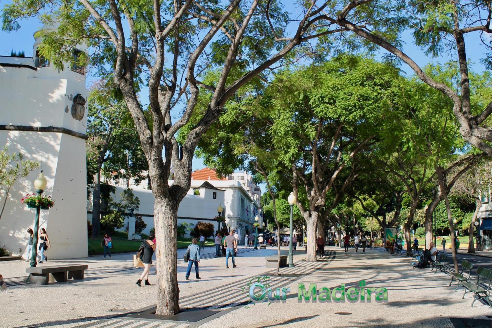 Ourmadeira - Heart Of Old Town I Apartment Funchal  Exterior foto